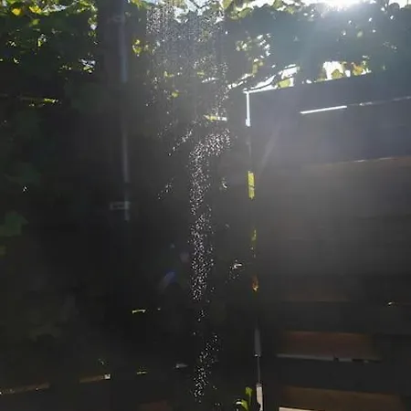 Dunes Of Egmond-Binnen