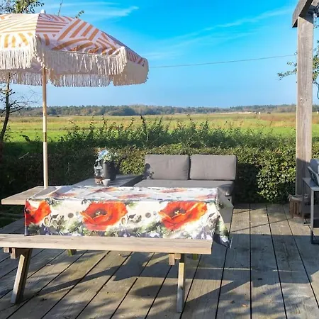 Dunes Of Egmond-Binnen