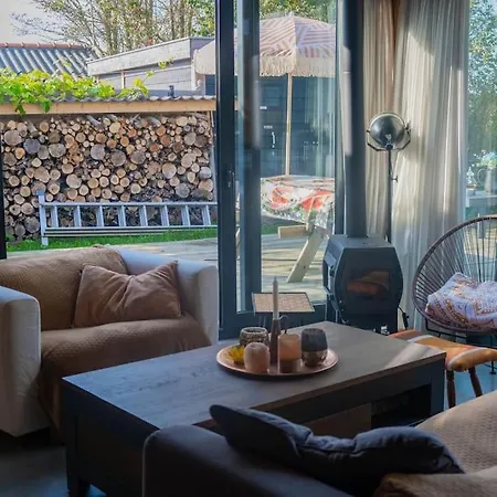 Dunes Of Egmond-Binnen